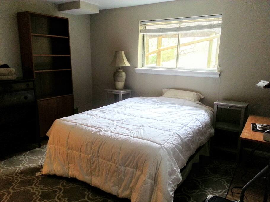 Bedroom #2 Smaller (desk, shelves, dresser, two big windows, area rug, closet)