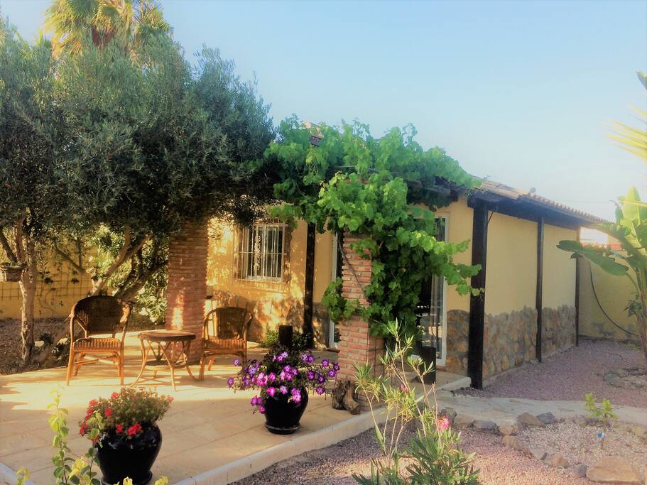 House with private patio