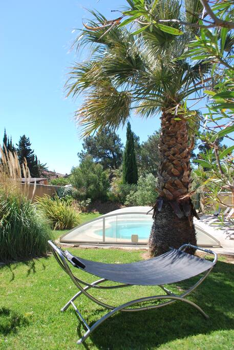 Détente sous les palmiers