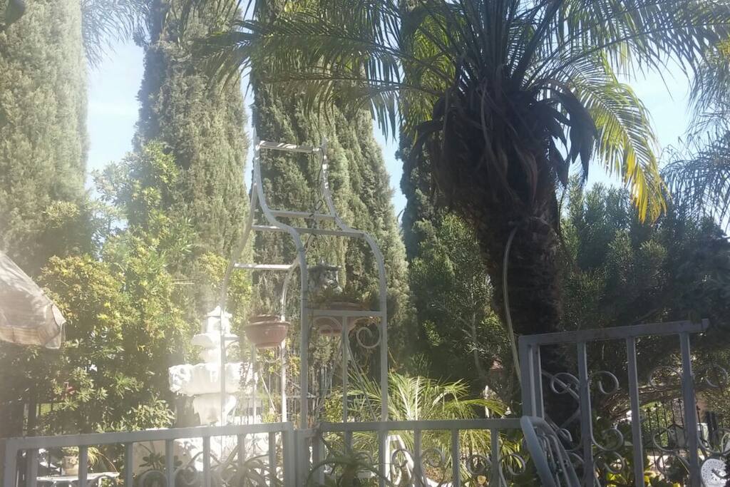 A shot I took at one of the Water Foutains next to the set of "Italian Cypress", at the Family's PRIMARY Home.