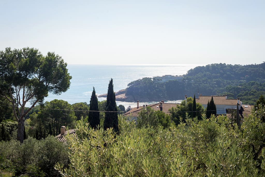 vue de la terrasse