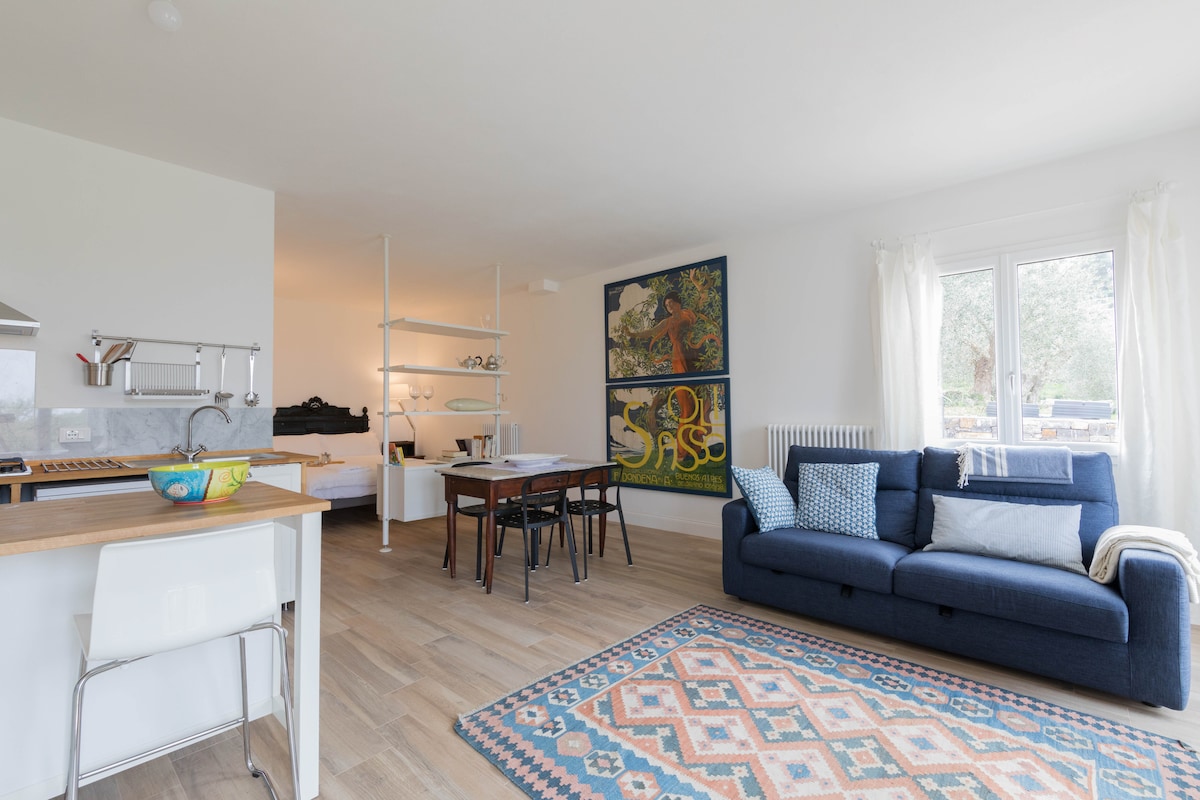 Top performing Airbnb: Relax Olivi Casa Novaro by the sea apartment Oliva in Imperia