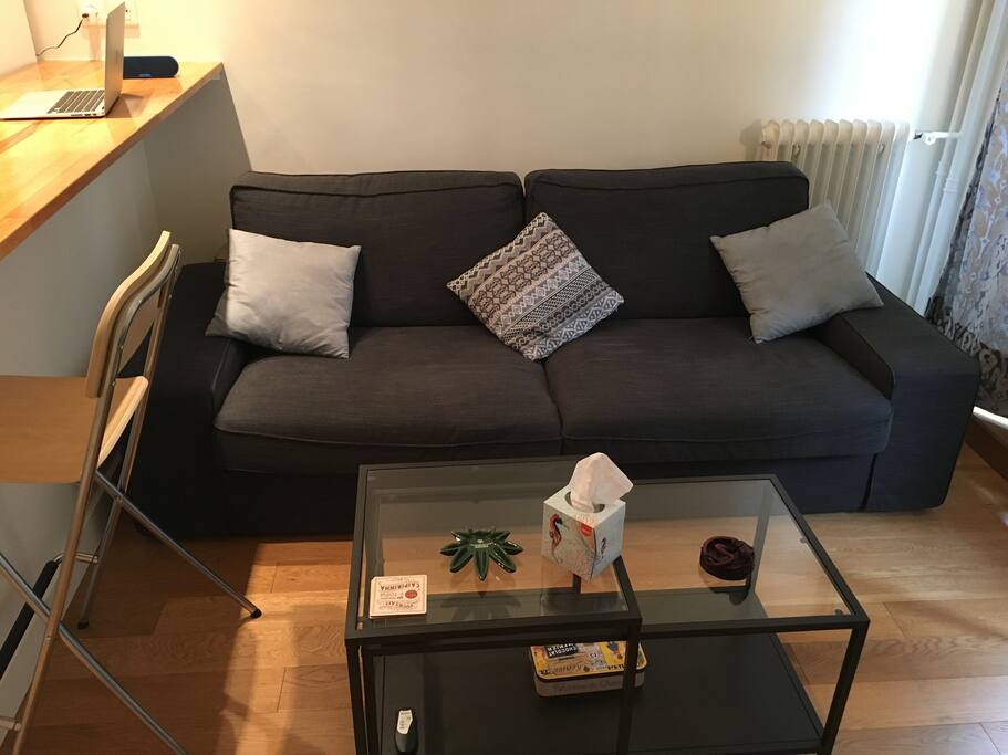 The couch for the guest