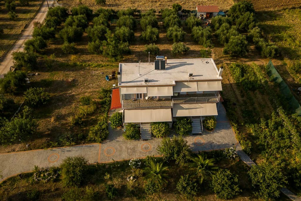 Panoramic photo