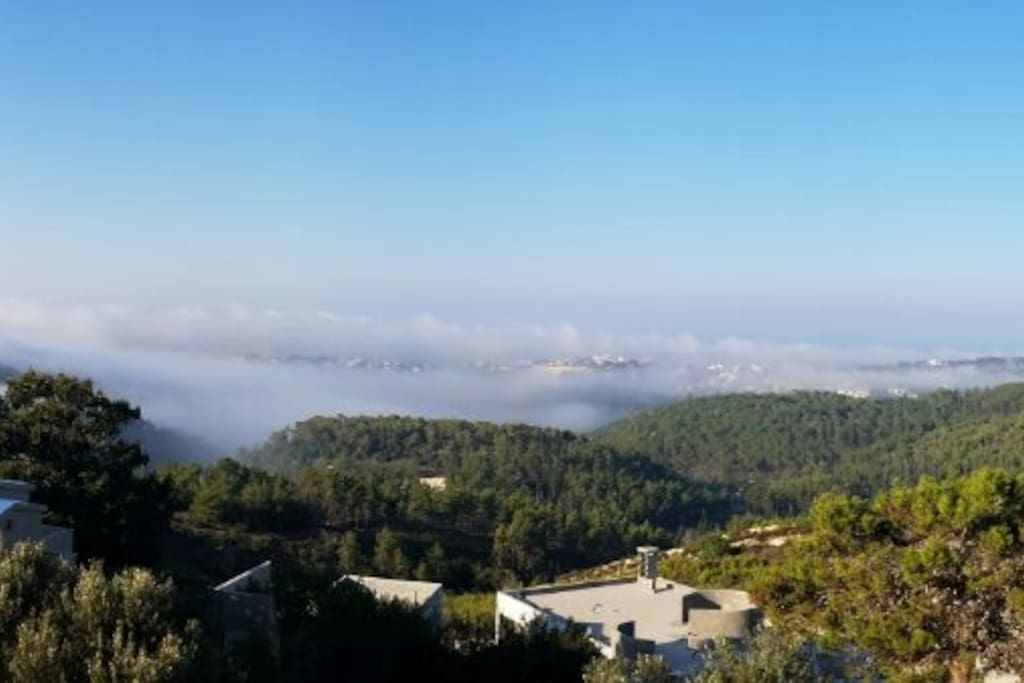 View