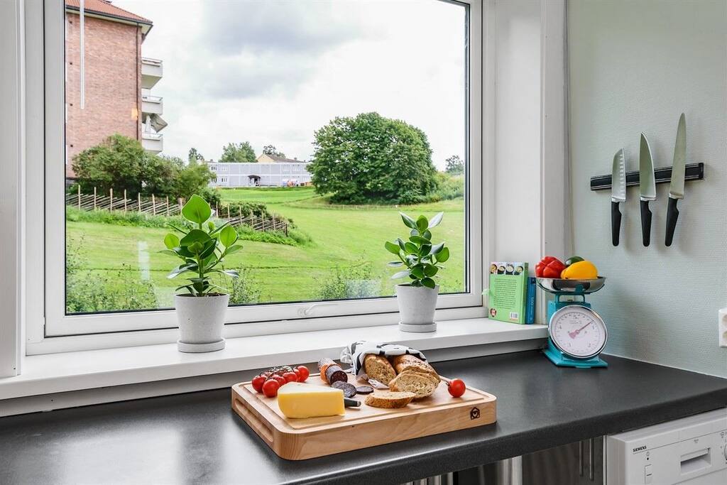 The view from the kitchen