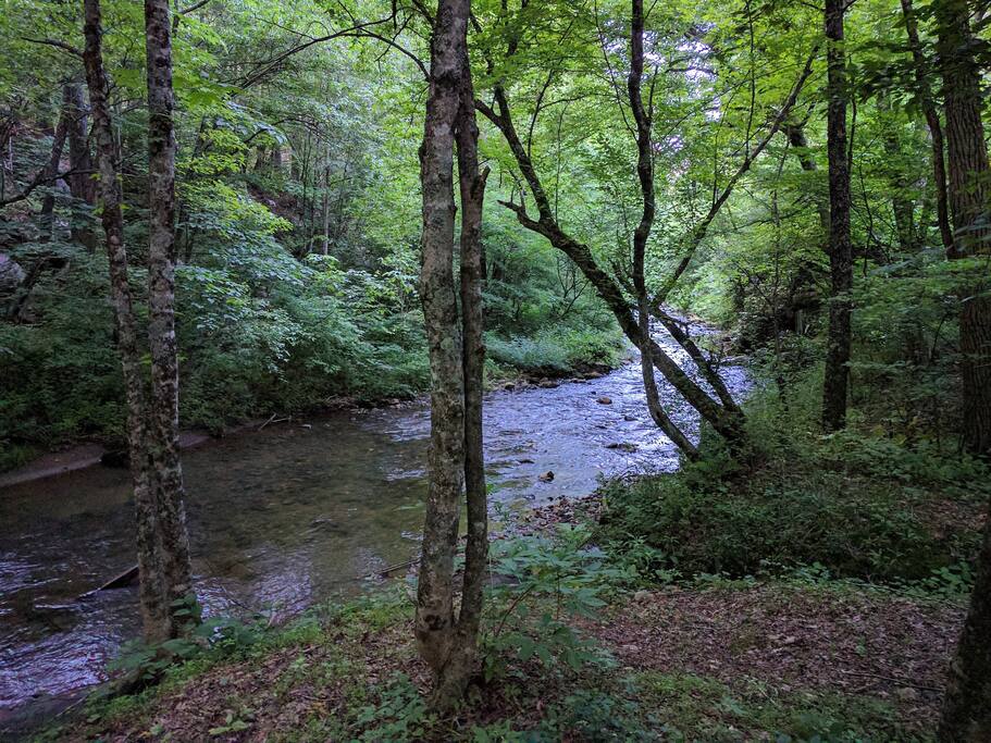 86 ft long creek side: Spring picture