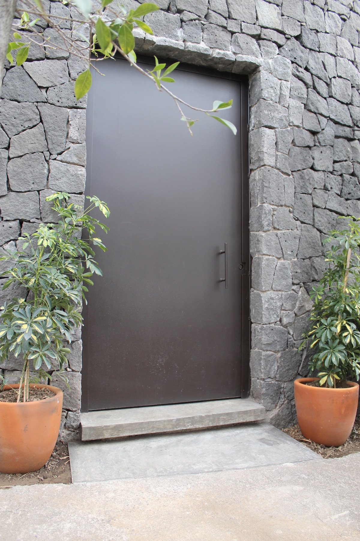 A sturdy dark door is framed by a stone wall, showcasing a natural texture. Two potted plants with lush green leaves stand beside a small step leading to a concrete pathway, enhancing the entrance's modern aesthetic.