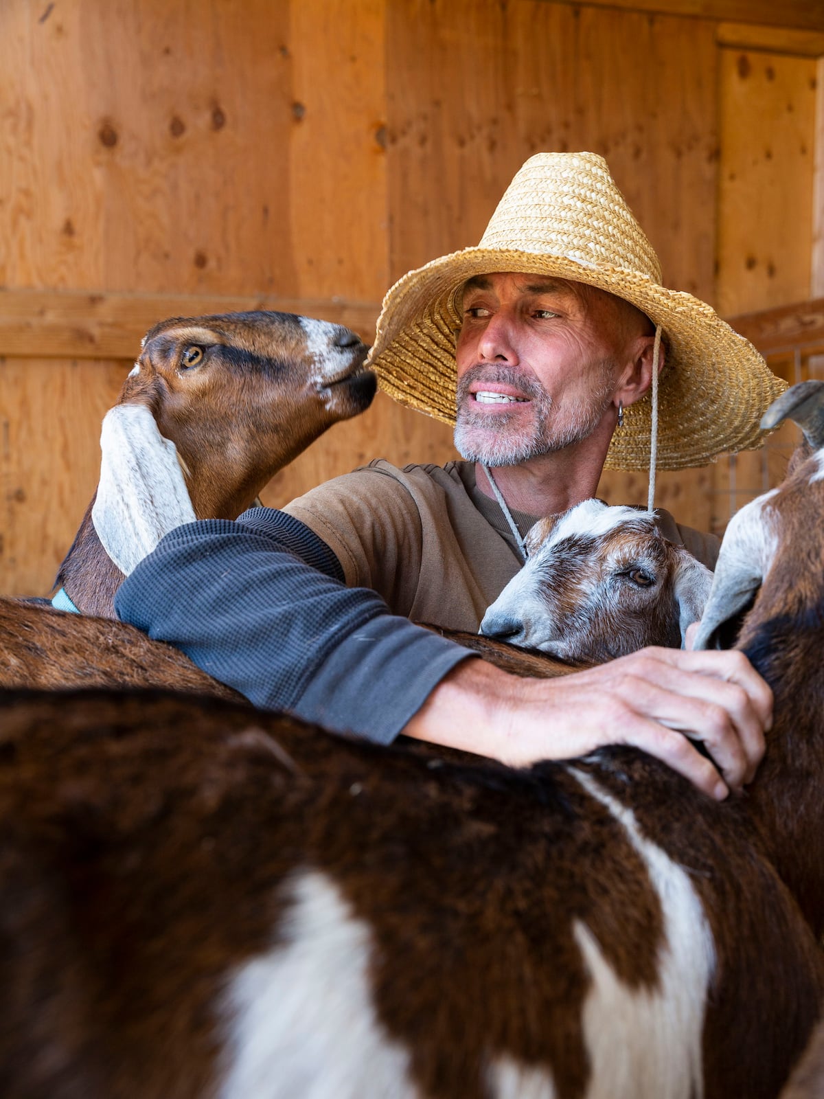 Man with goats