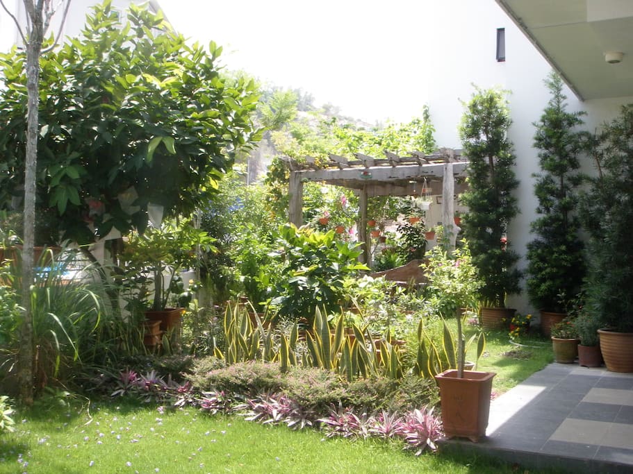 Garden