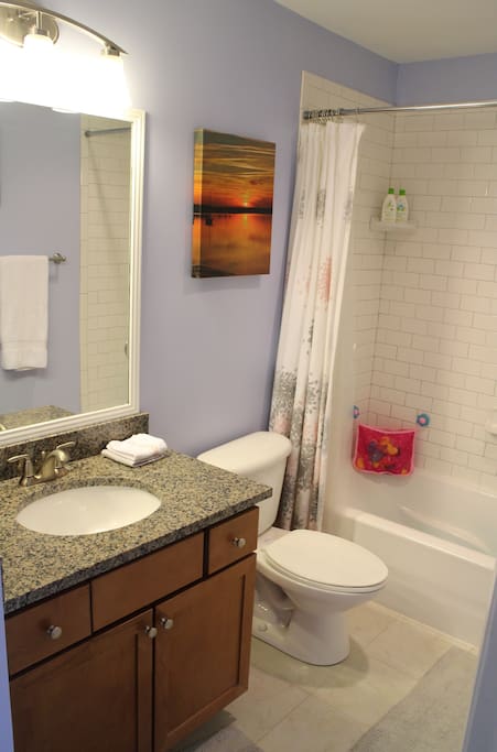 Your bathroom, complete with lots of bath toys :)