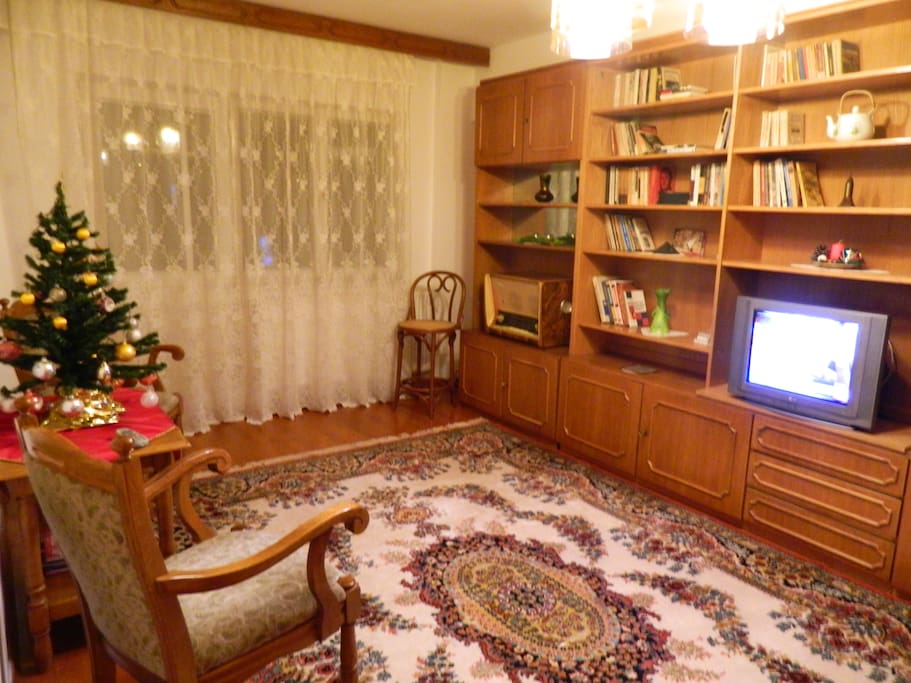 Elegant & warm living room and balcony with a view.TV, Radio, 2 armchairs, coffee table on wheels, books, bar-stool, comfy extendable couch, reading wall-lights, Persian rug and rich paintings.