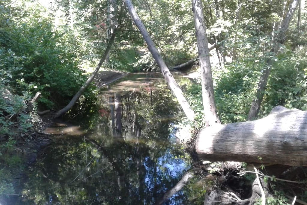 Creek from Bridge