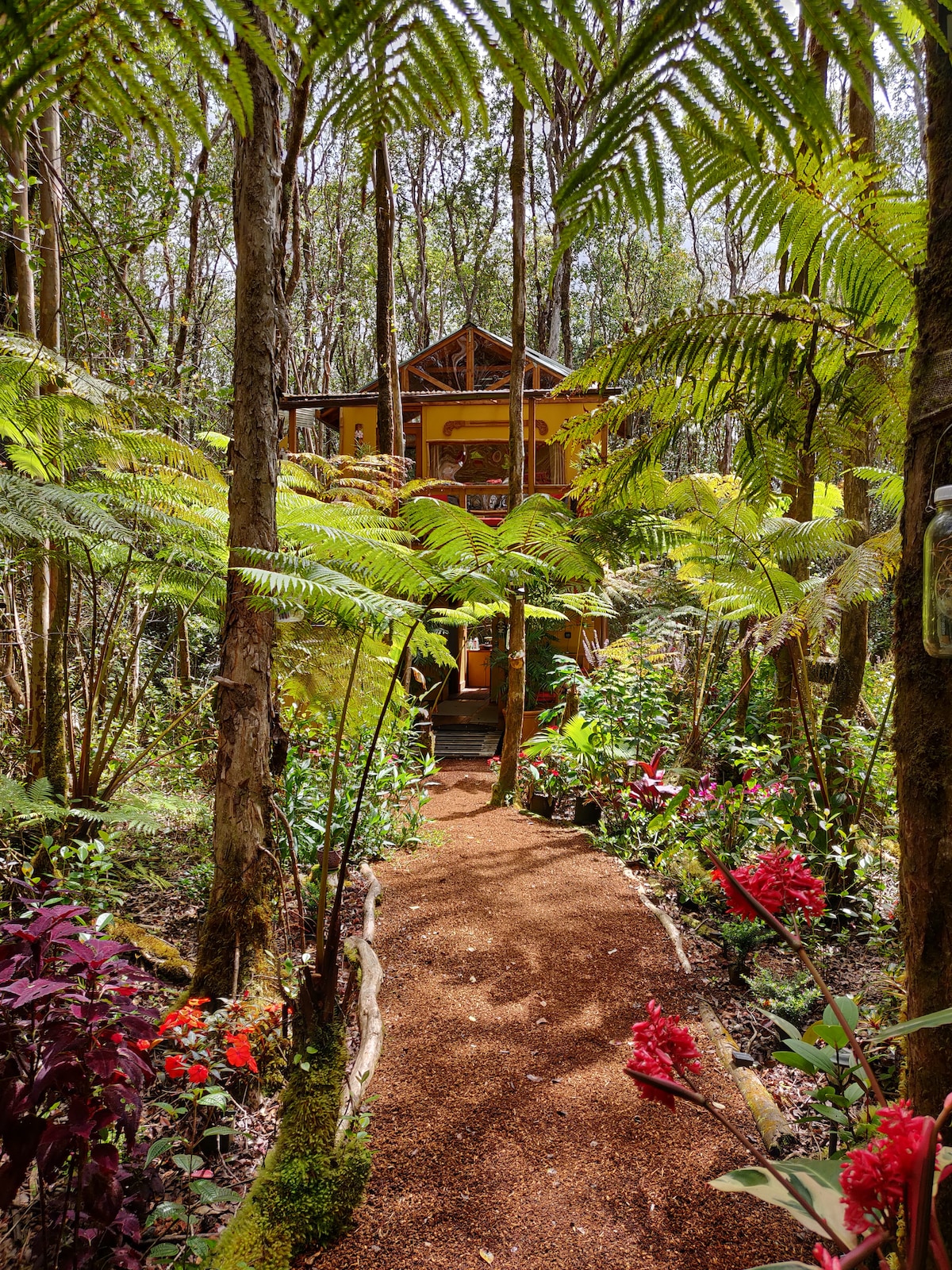 A winding path of gravel leads through lush greenery, flanked by Hapu’u ferns and vibrant flowers. The elevated treehouse, visible in the background, is surrounded by a serene forest atmosphere, creating a tranquil pathway into nature.