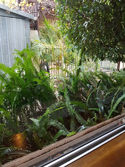 View from your room.