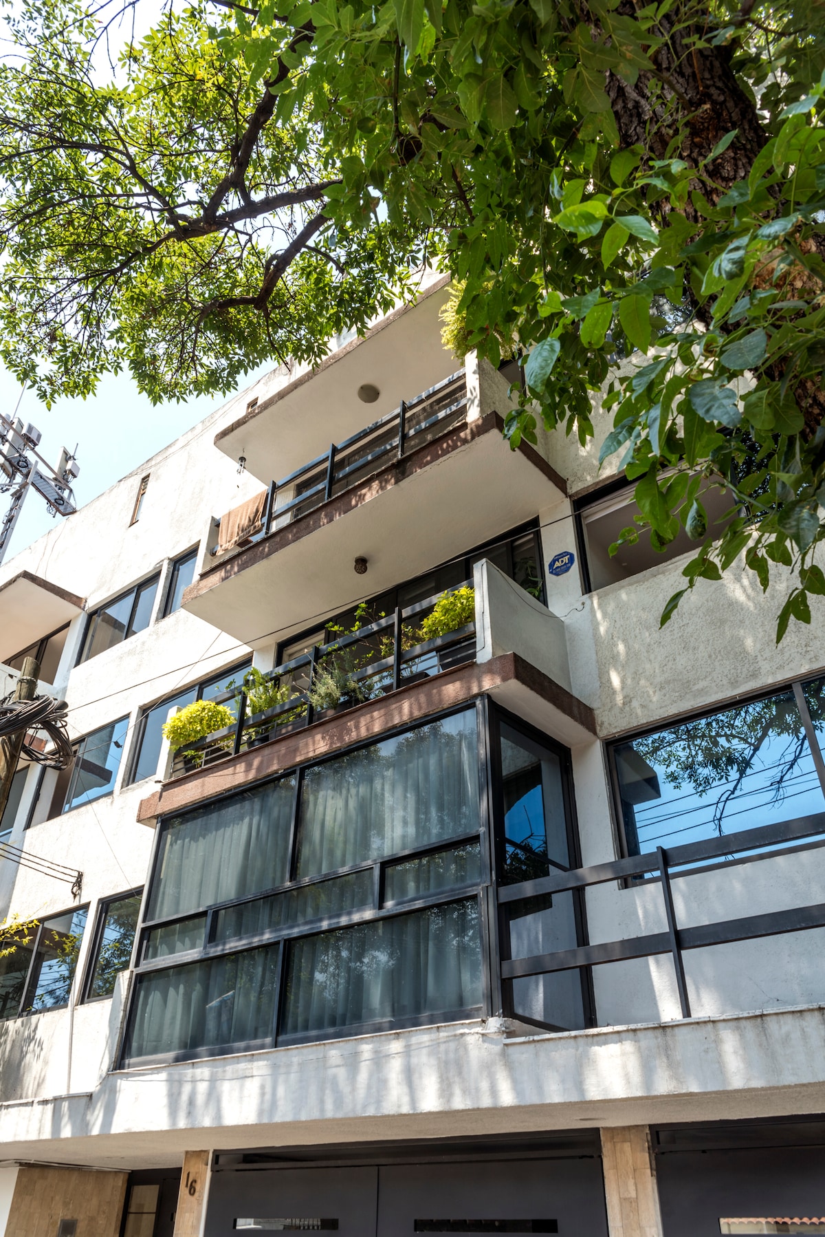 A modern building is depicted, featuring multiple balconies adorned with potted plants. Large glass windows provide ample natural light, while a smooth stone facade contrasts with green foliage from nearby trees. The structure showcases a blend of contemporary design elements.