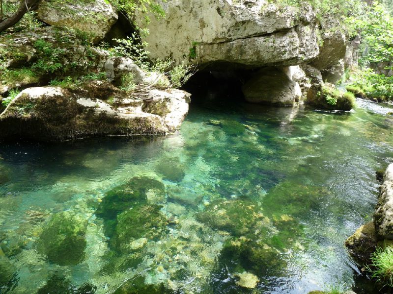 Crystal-clear water flows gently over smooth stones at the river, surrounded by lush greenery. Sunlight filters through the trees, creating dappled reflections on the water's surface. Large boulders frame the serene setting, highlighting the natural beauty of the area.