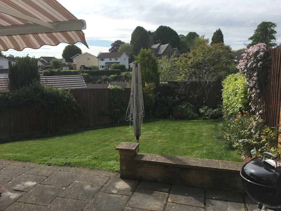 Back garden