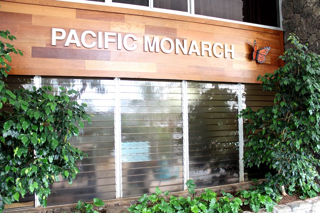 Pacific Monarch, Waikiki, Hawaii