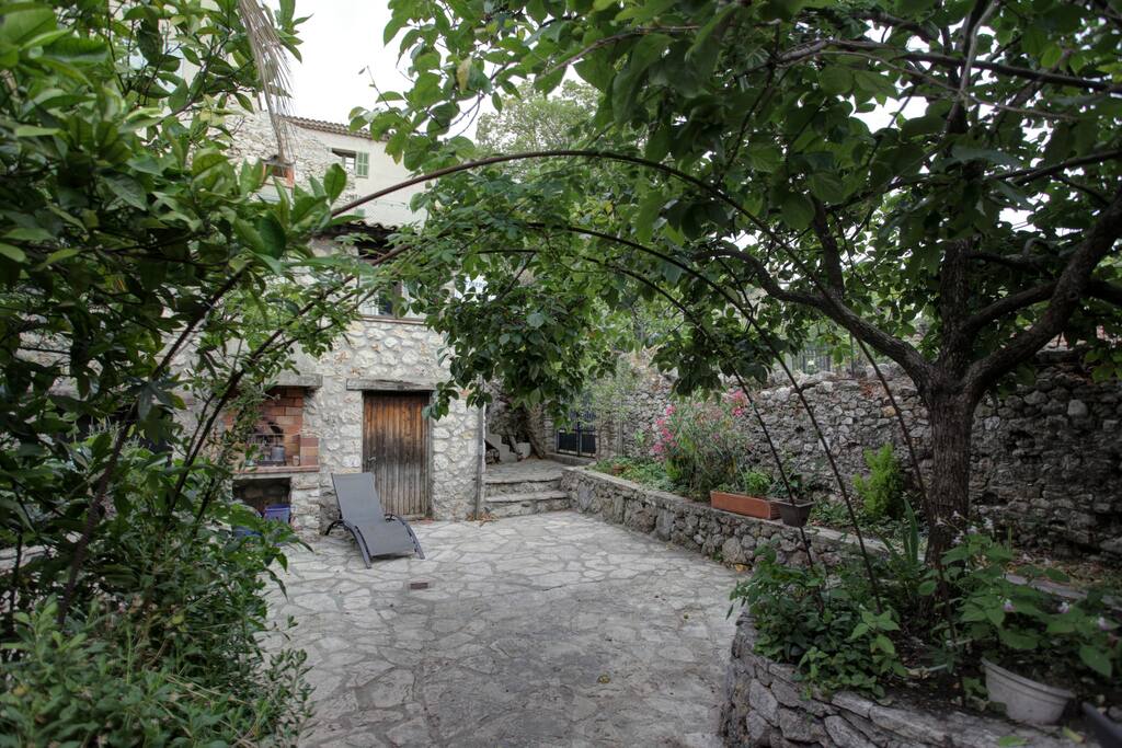 La cour