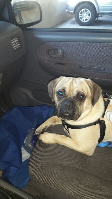 Oscar