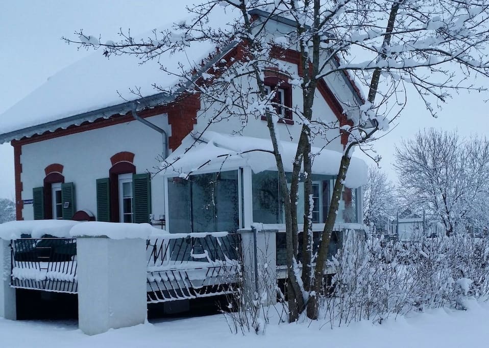 Winter