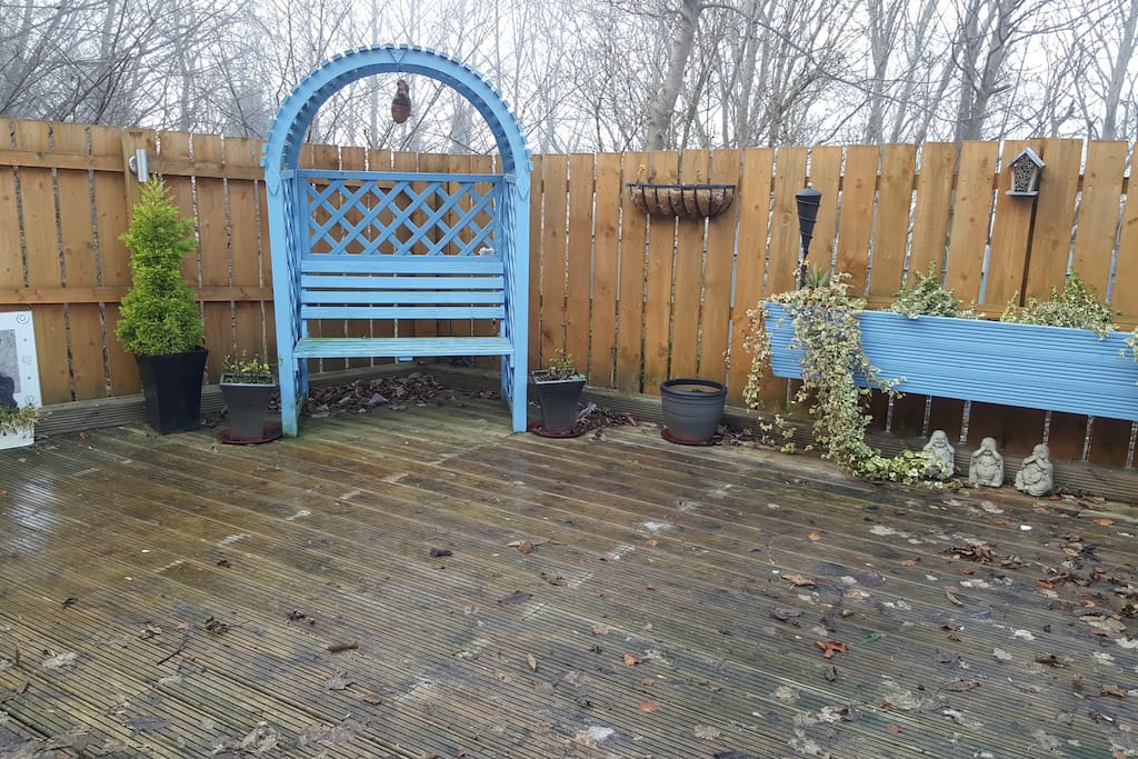 Back garden (Winter)