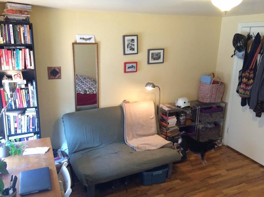 full library, couch and reading lamp