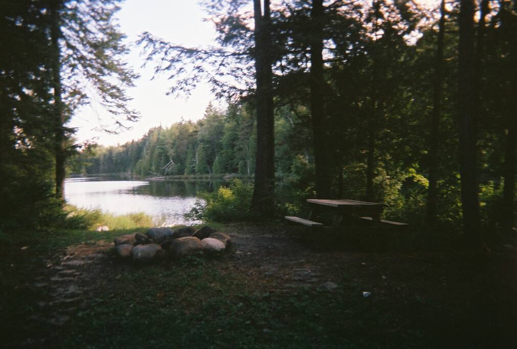 Picnic/firepit area #1