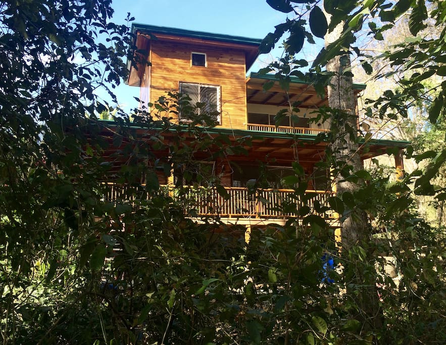 View of our house from the Jungle Path.