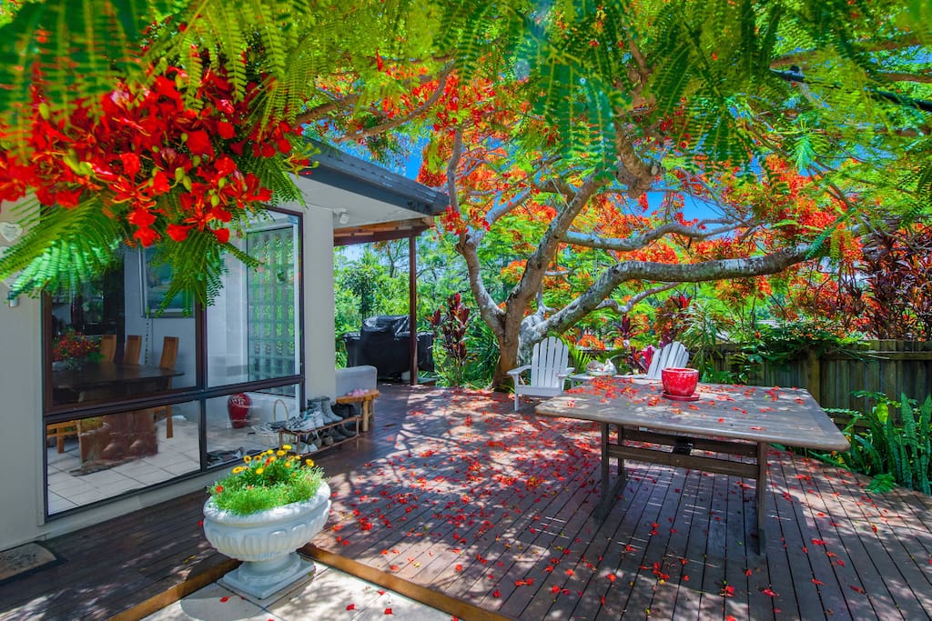 Beautiful front entrance courtyard.