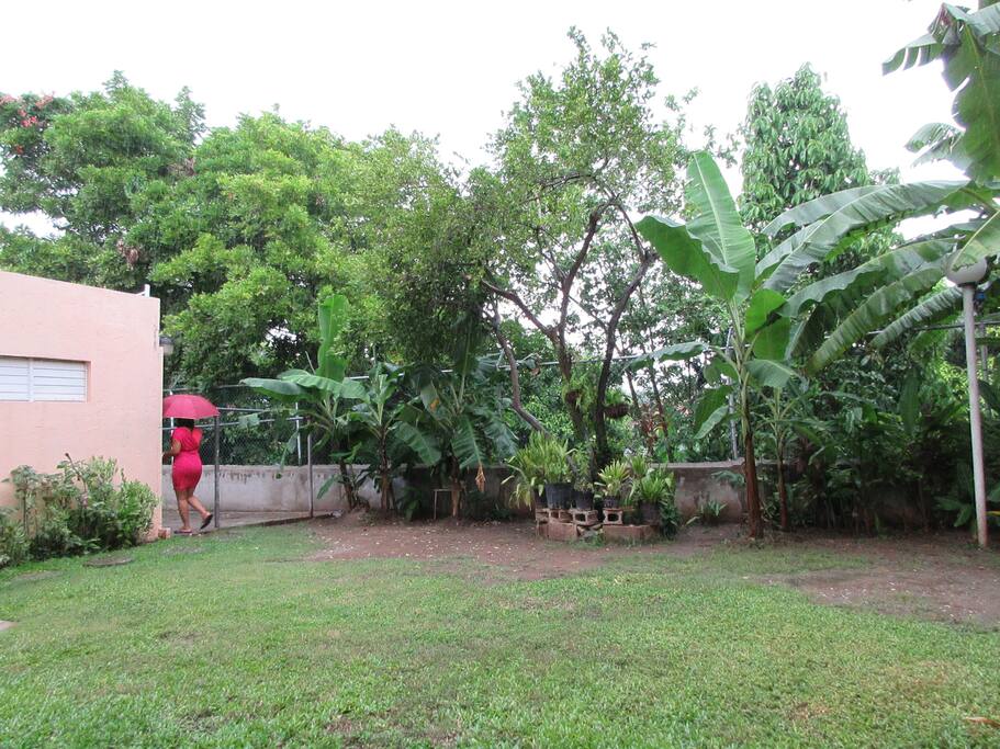 A sample of the outdoor yard