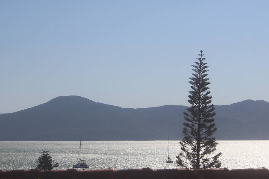 Vista