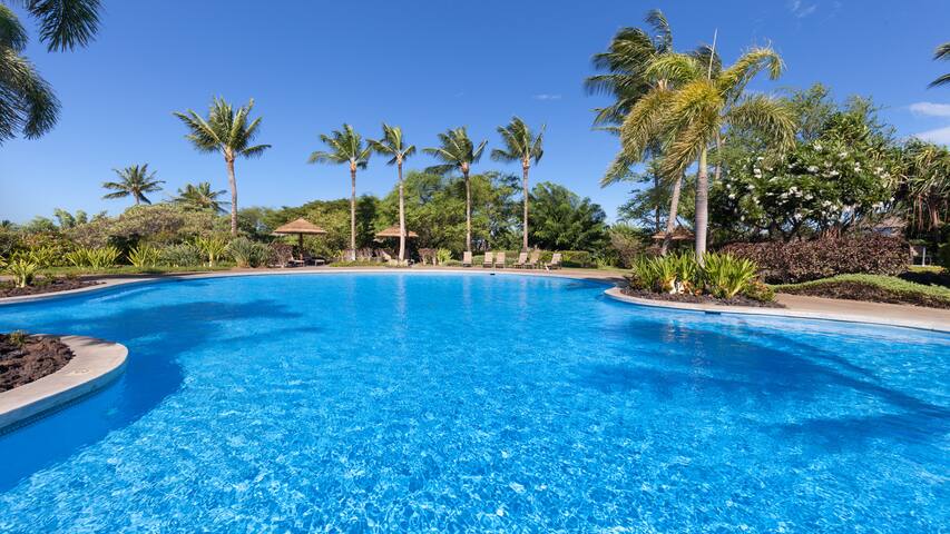 PiH: Hawaii Roma: NEW Hilton Passes, Views & more! gallery image 4