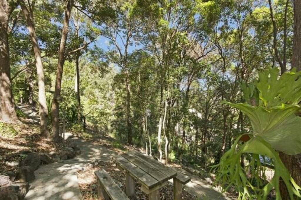 Bush garden setting for a picnic, read and relax on benches and tables or laze around in a hammock.