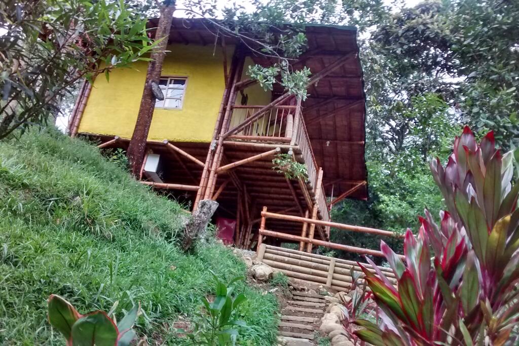 ESTACION PARAISO DE DANTAS es un espacio turístico donde se disfruta de agua, cielo, sol y naturaleza, descanso y colores, ubicado en el municipio de San Rafael Antioquia, “San Rafael Único por Naturaleza” lo separa del Rio Bizcocho la carretera veredal que va a la escuela con su mismo nombre (Escuela El Bizcocho).
ESTACIÓN PARAÍSO DE DANTAS está ubicado a 500 mts del puente bizcocho y solo a 4 kms del parque principal del municipio de San Rafael. Con una temperatura aproximada de 23º C y una altura de 1.100 M.S.N.M.
Cuenta con un área de 2.5 hectáreas donde 2 de ellas son bosques con senderos y quebrada que desemboca en el Río Bizcocho haciendo escuadra en el espacio turístico de atención al cliente,. La otra parte está distribuida para el servicio de alojamiento granja y huerta. Nuestra quebrada es denominada “Dantas” que al pasar por la carretera para llegar al rio bizcocho la une con un puente que lleva su mismo nombre.