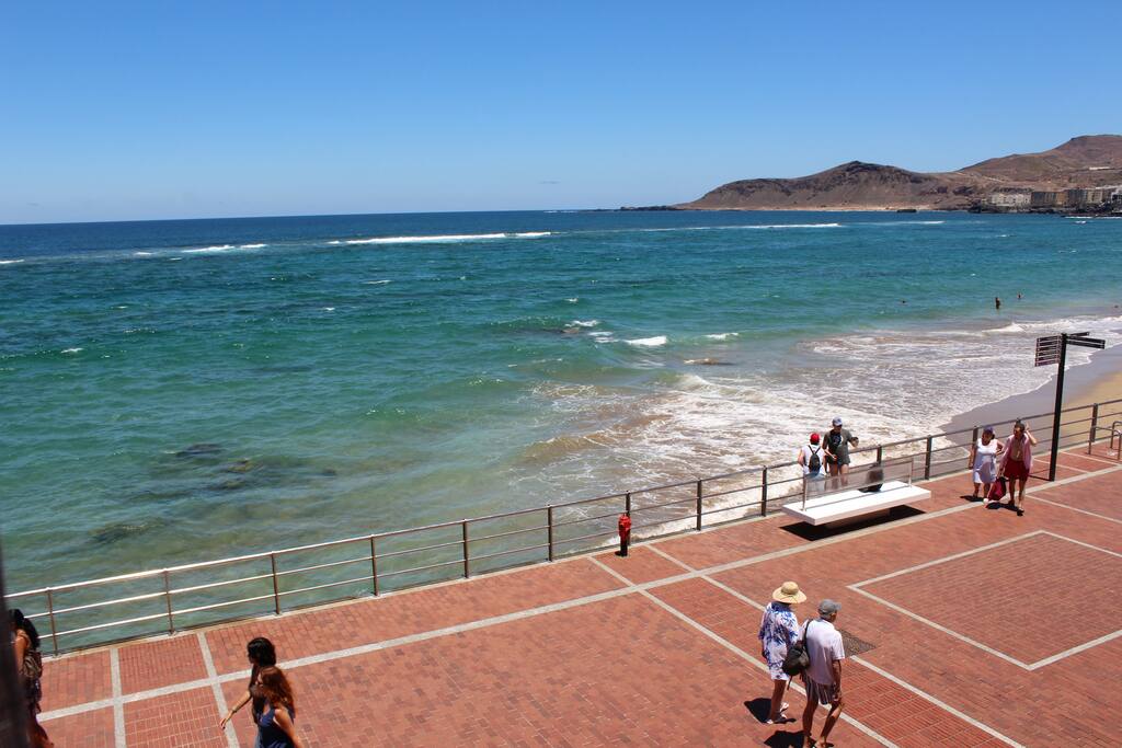 Vista desde las ventanas