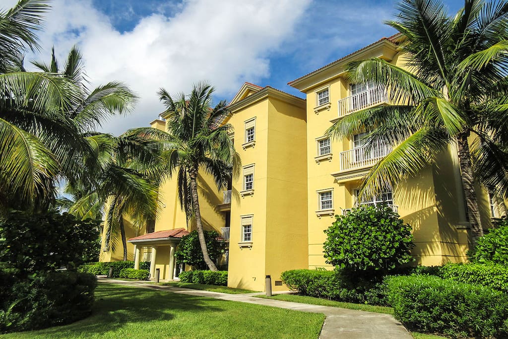 Palm Tree, Tree, Building, Vegetation, Fir