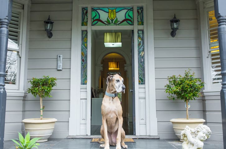 Alegria @ Mosman gallery image 2