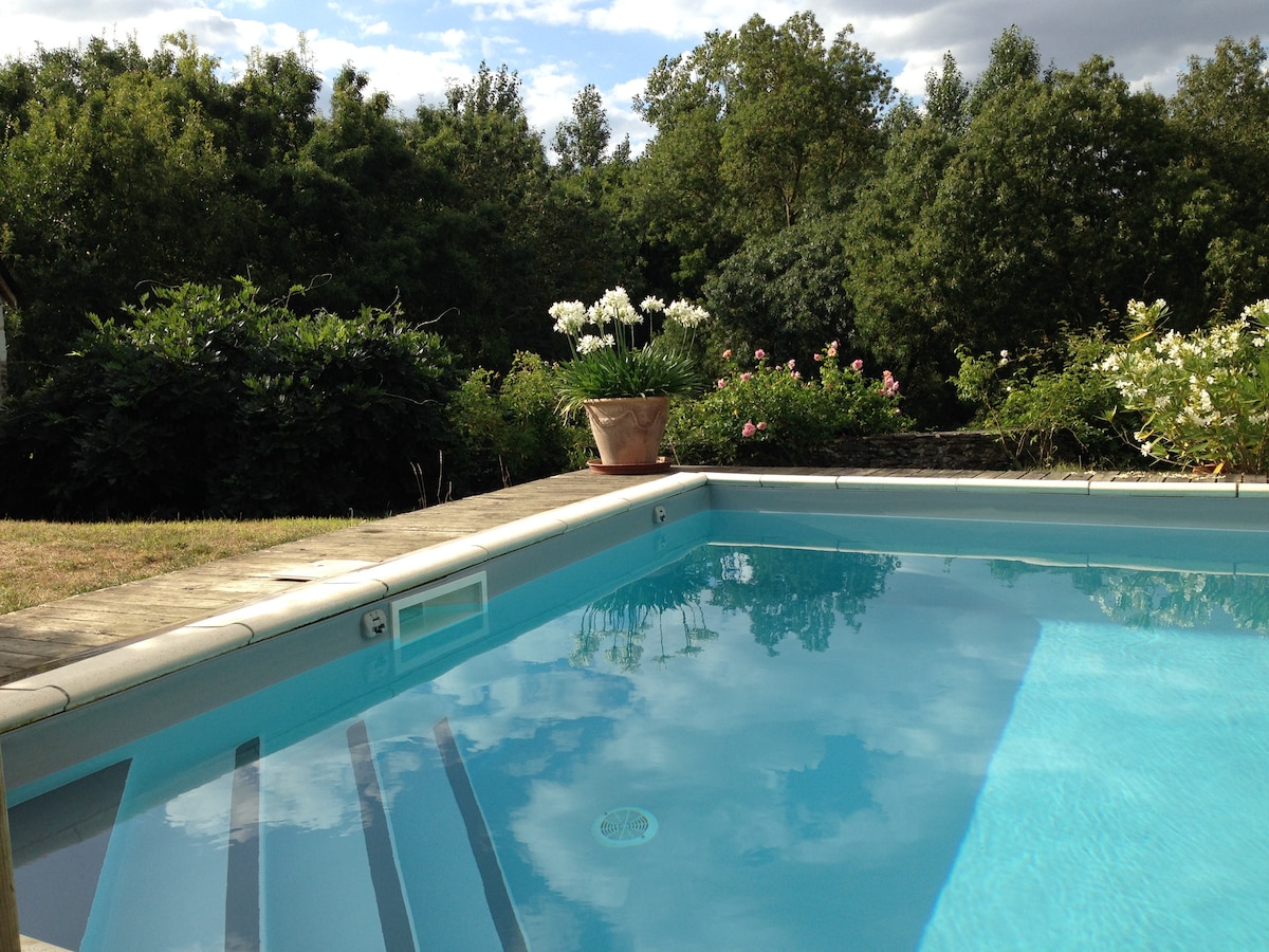 A private swimming pool reflects the surrounding greenery, featuring steps leading into the water. A flower pot sits at the pool's edge, adding a touch of nature to the serene environment, while lush plants frame the scene, enhancing the tranquil outdoor space.