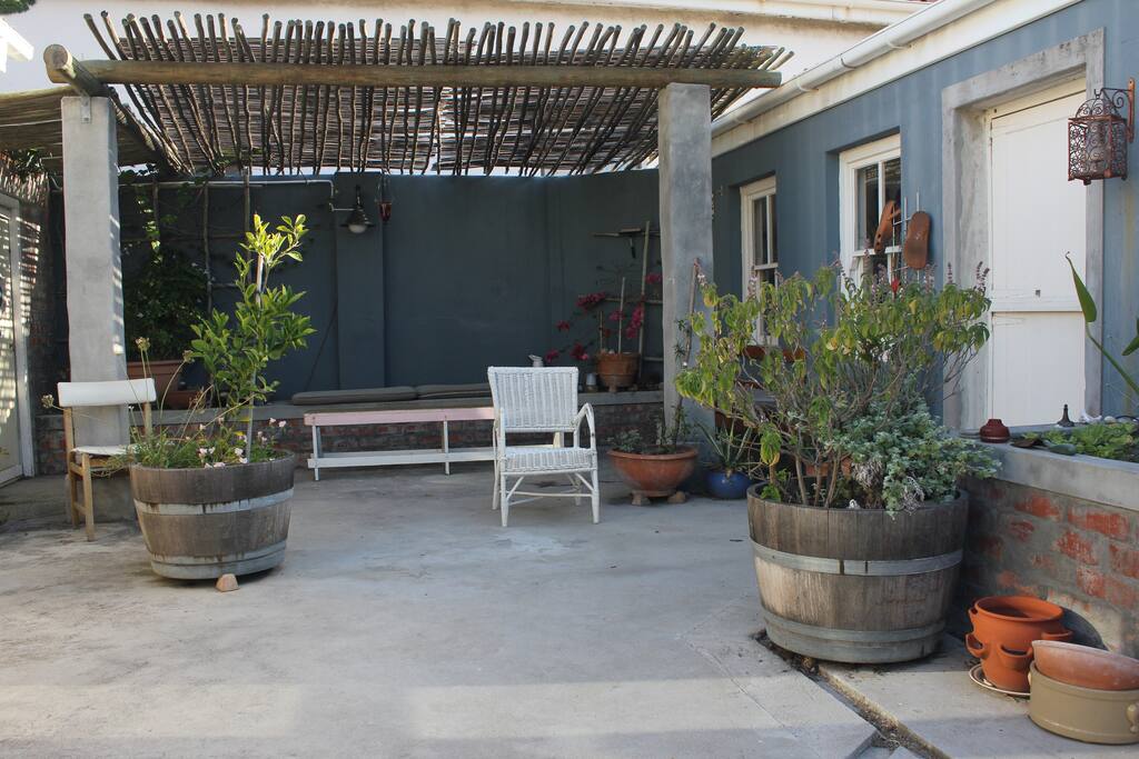 The yard and pond - you can relax here