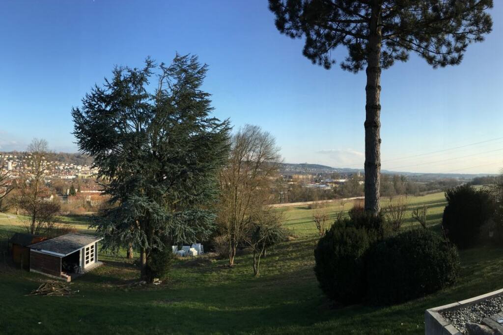 Blick über das Schussental