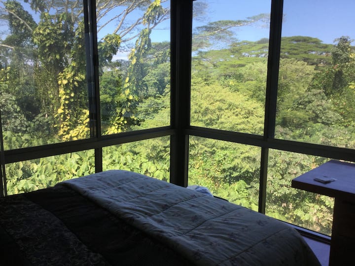 Angalia nyota ukiwa kitandani