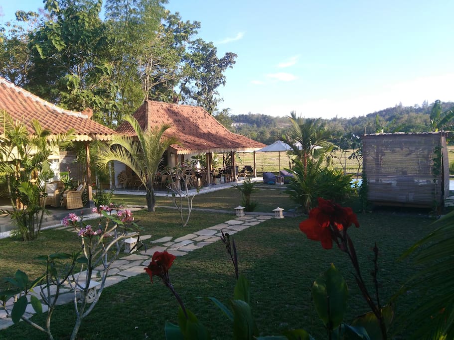 Our Garden