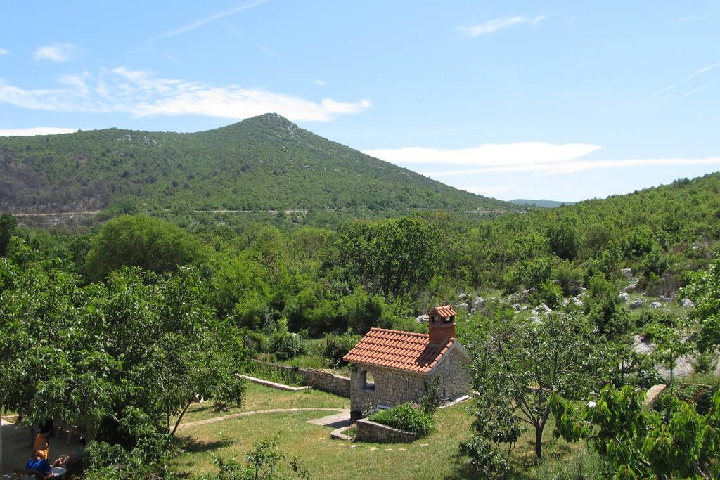 Elevated view on garden and barbecue.