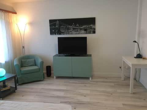 Top performing Airbnb: Zurlinden Studio Apartment 1 in Hard