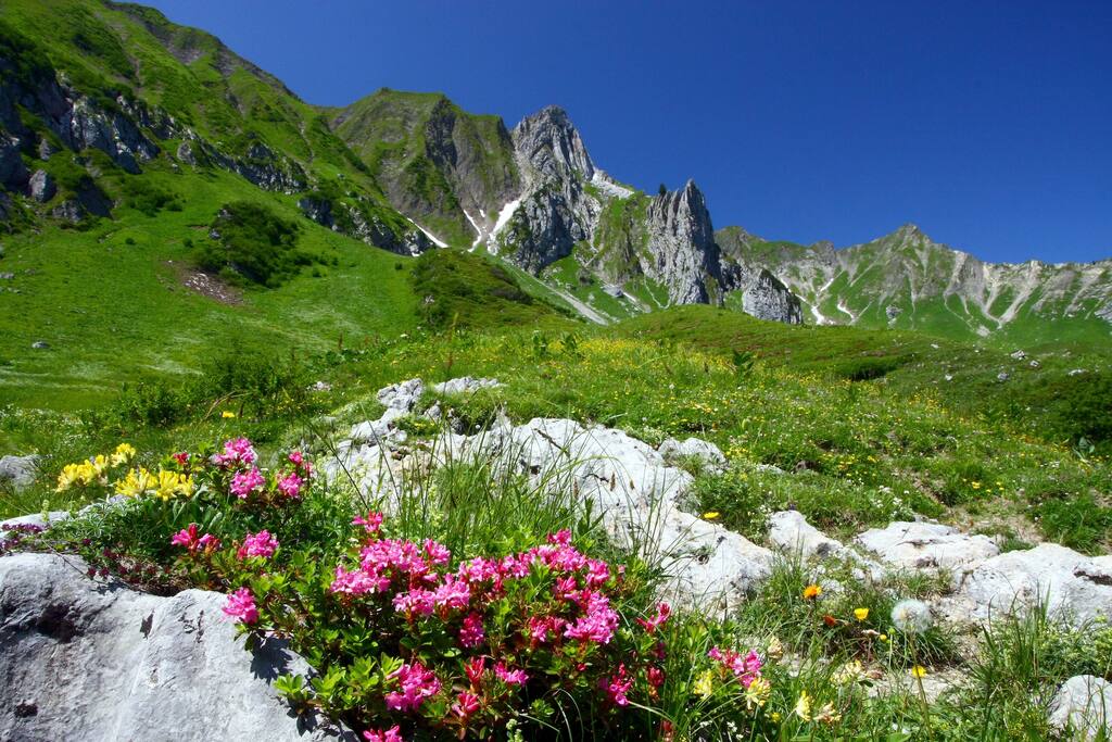 Wander vom feinsten !