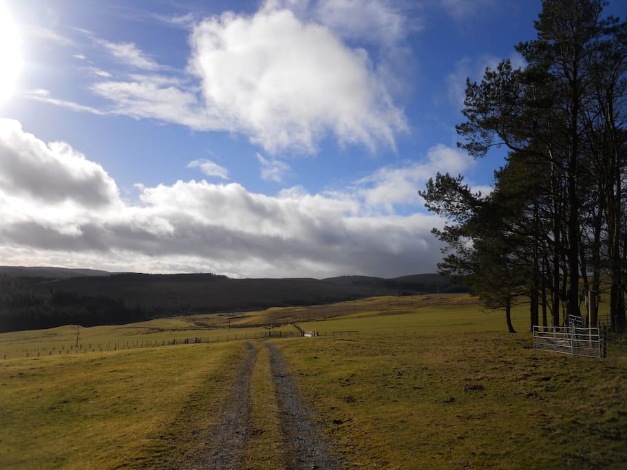 Remote shepherds cottage on a farm. Cottages for Rent in Scottish