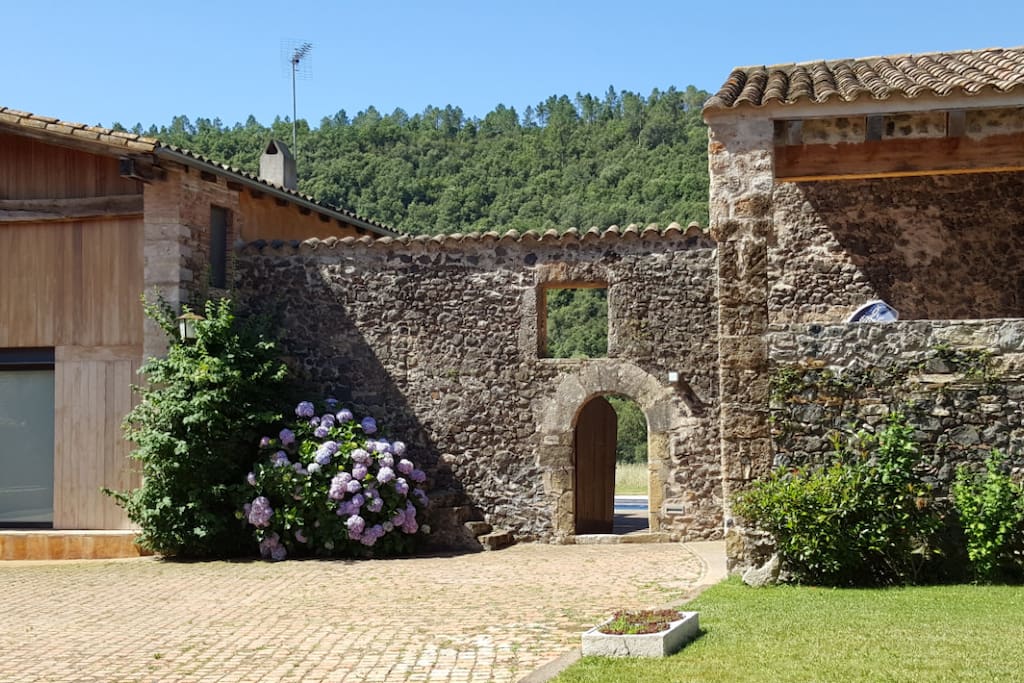 patio central