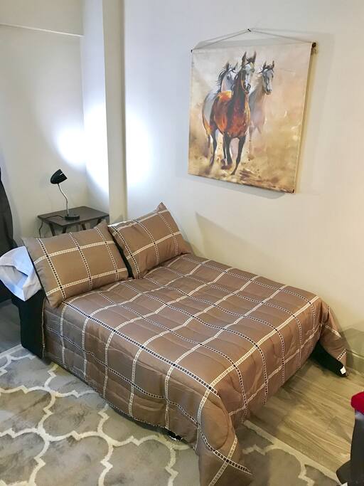 Full sized fold down sofa